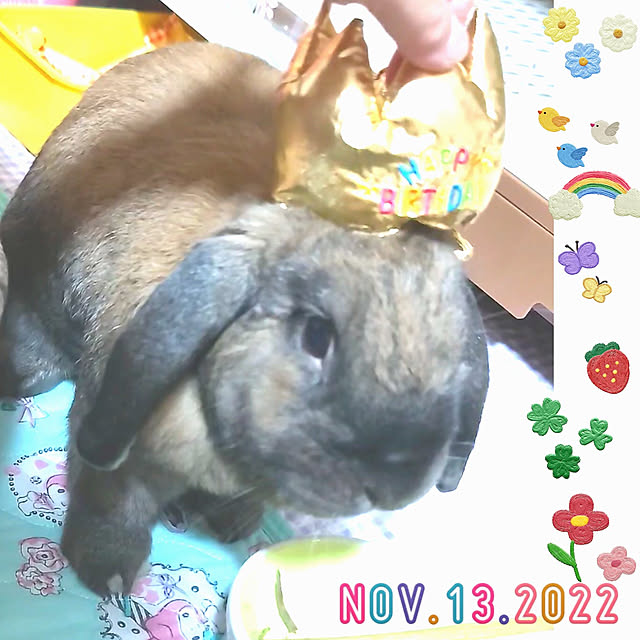 mariaさんの実例写真