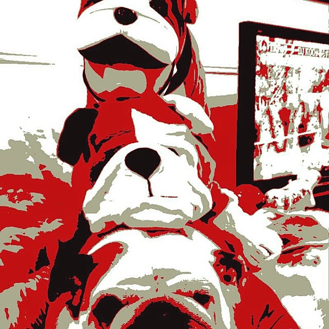実例写真
