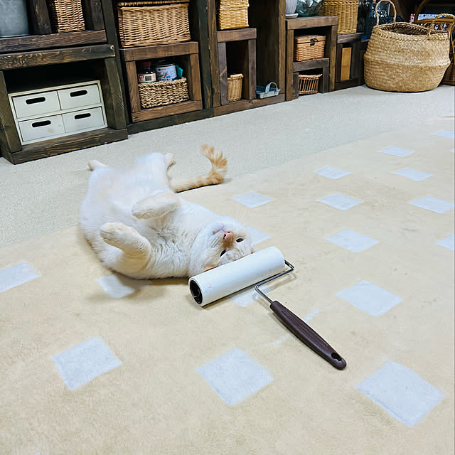 mohhaさんの実例写真