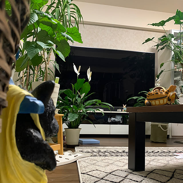 Aqettyさんの部屋