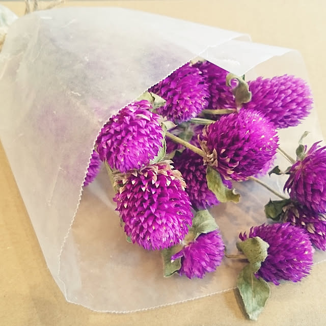 Forest_Umbrellaさんの実例写真