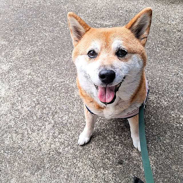 nanaさんの実例写真