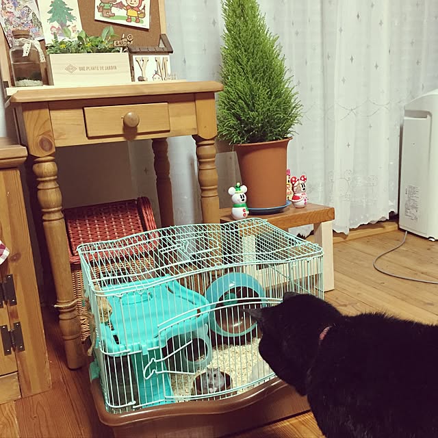 ayumiさんの実例写真