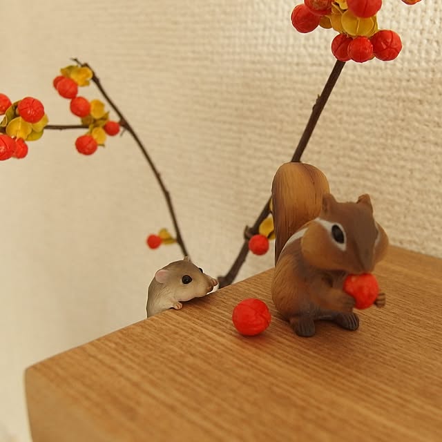 Chamさんの実例写真