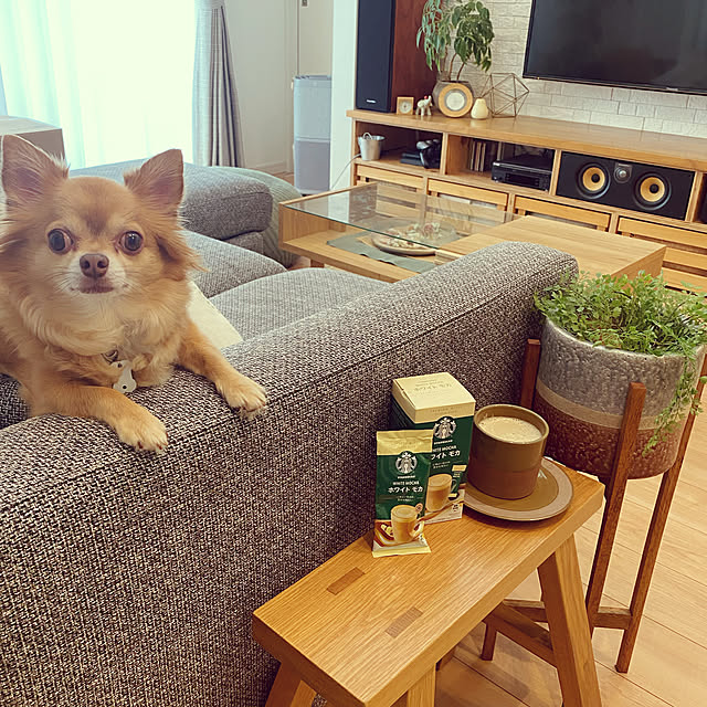 comoさんの実例写真