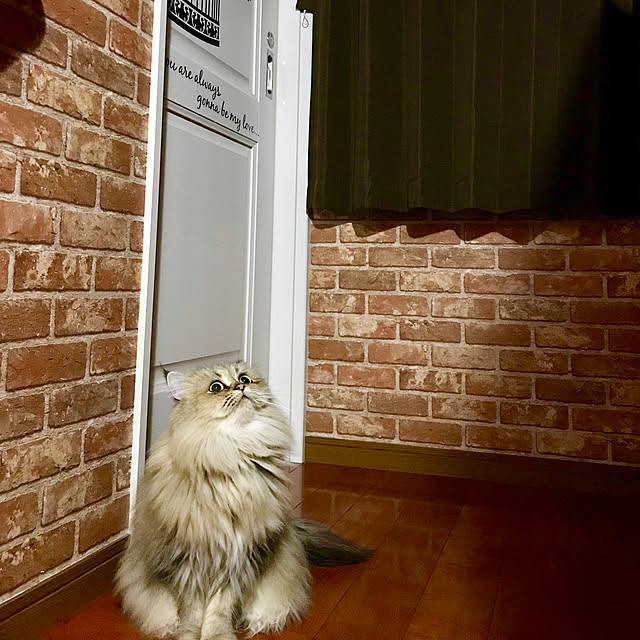 butachanさんの実例写真