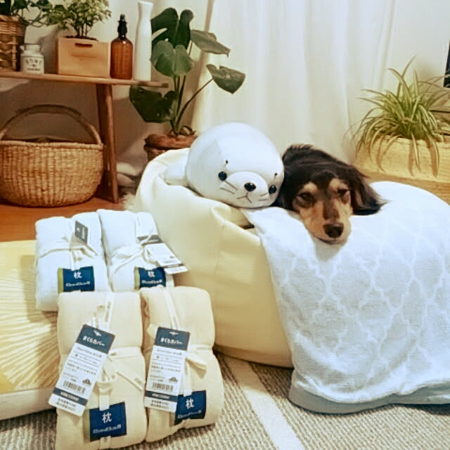 reonさんの実例写真