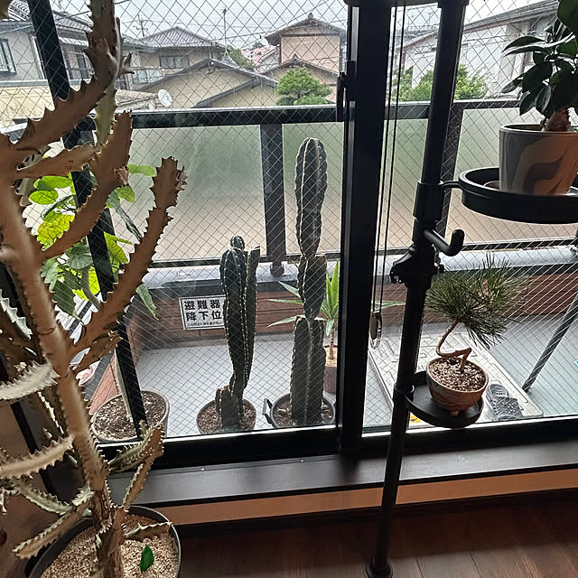 satatinさんの部屋