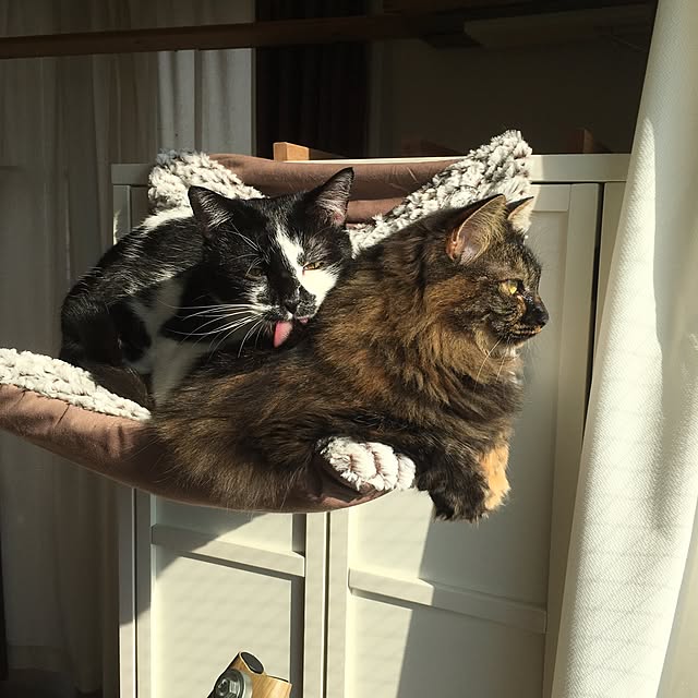 mikomaruさんの実例写真