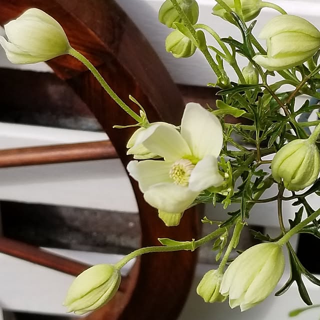 midoriさんの部屋