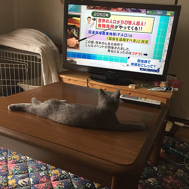masaさんの実例写真
