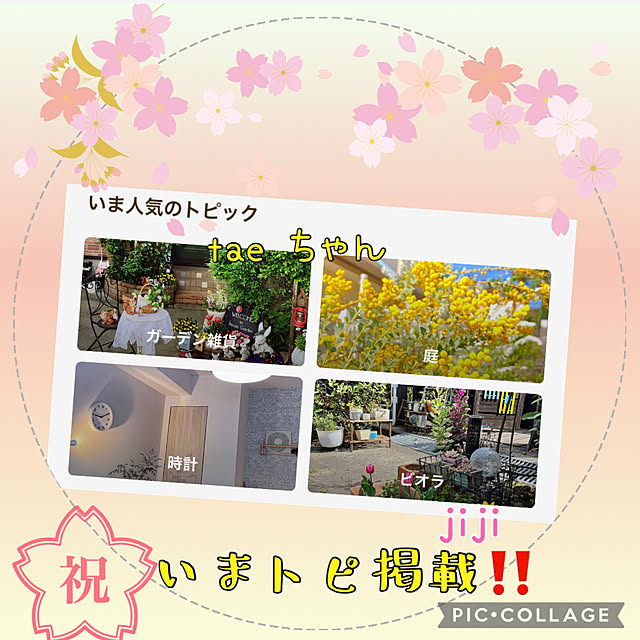 jijiさんの実例写真