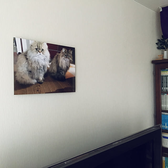 k_dinoさんの実例写真