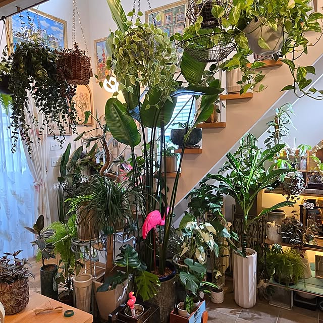 nonbiri_house_さんの実例写真