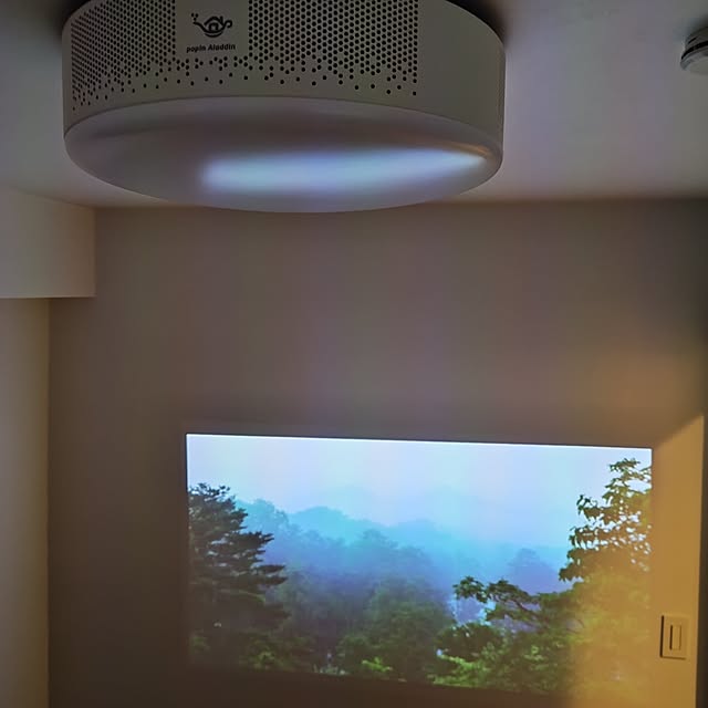 qolongislandさんの実例写真