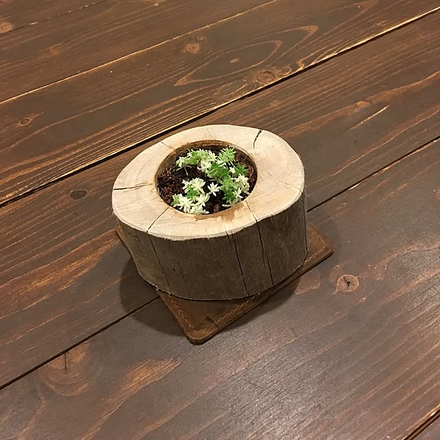 Yuさんの実例写真