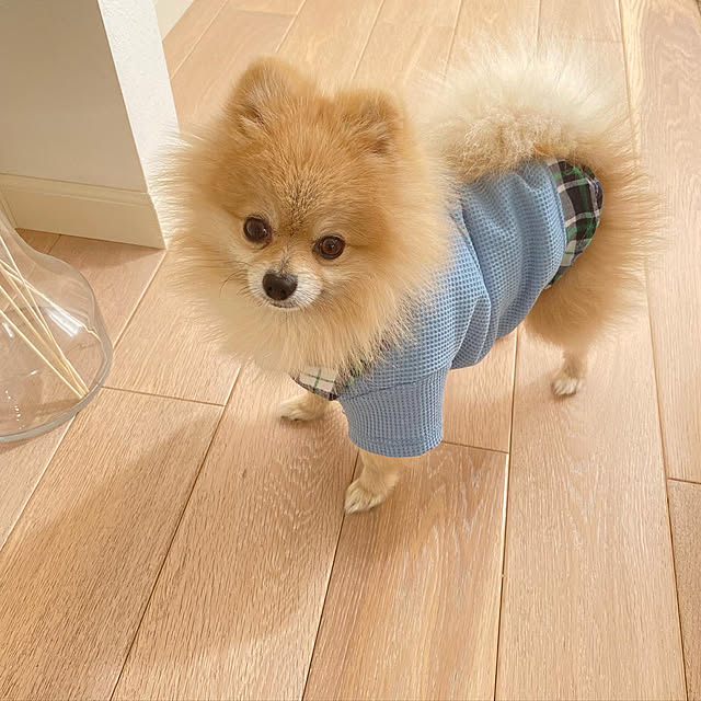 MAKARONさんの実例写真