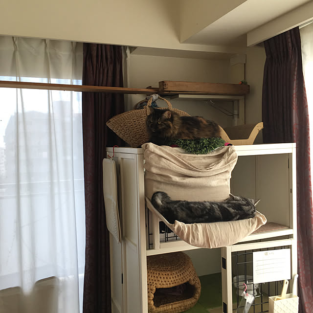 mikomaruさんの実例写真