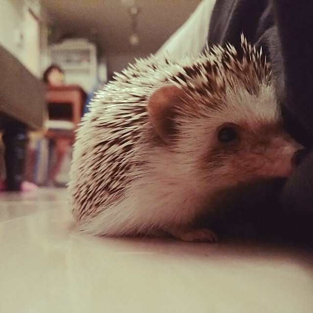 kuruさんの実例写真
