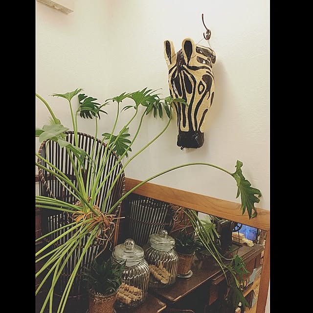 mjさんの実例写真