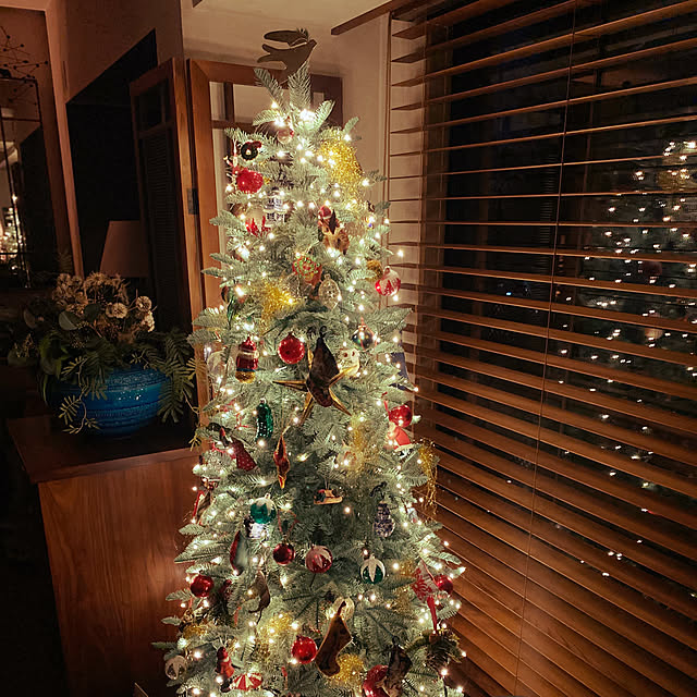 amyさんの実例写真