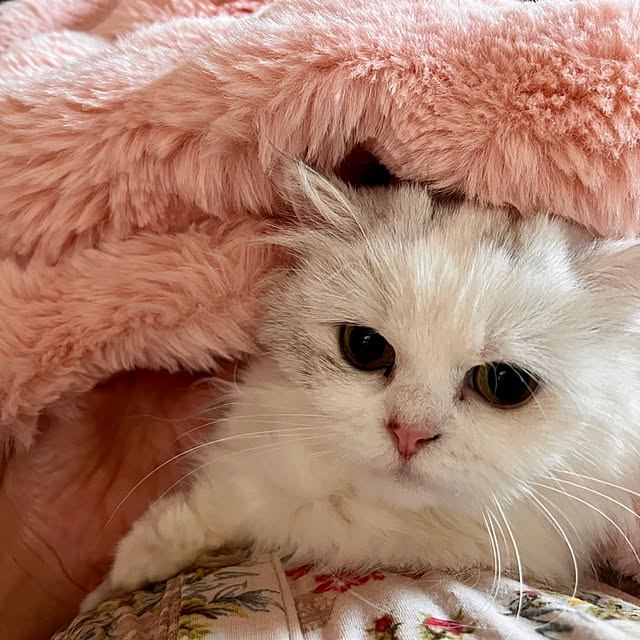 AYUKOさんの部屋