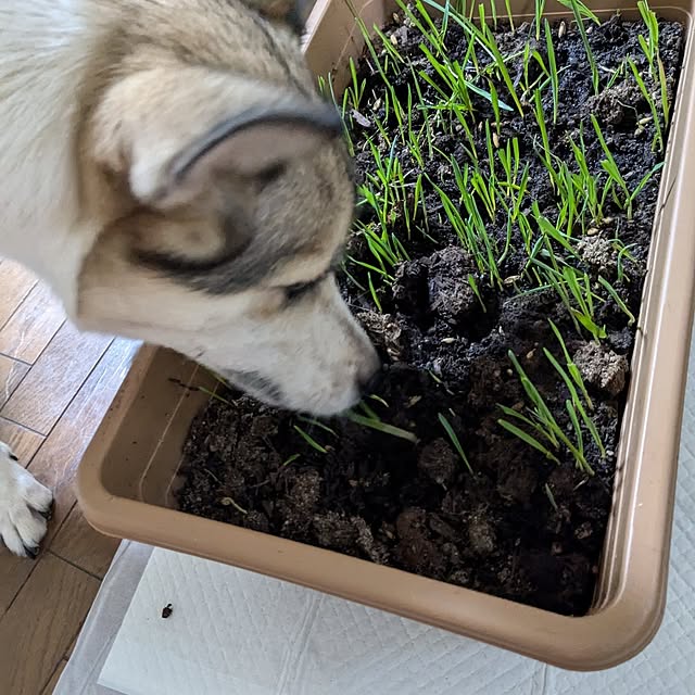 asaさんの部屋