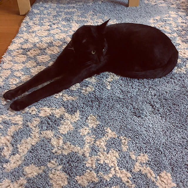 jijiさんの実例写真