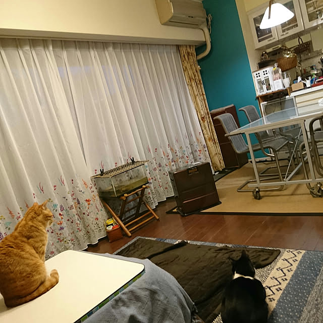 okyosan101さんの実例写真