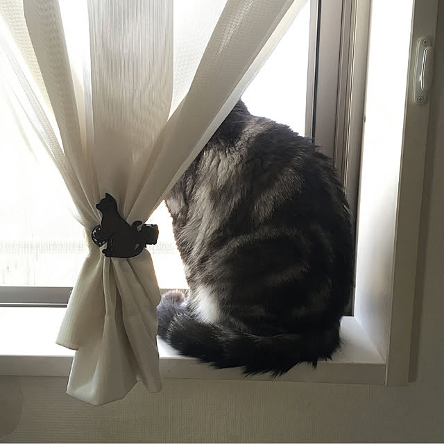mikomaruさんの実例写真
