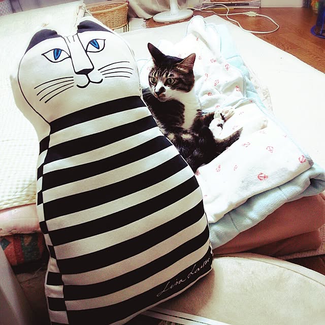 gomaさんの実例写真