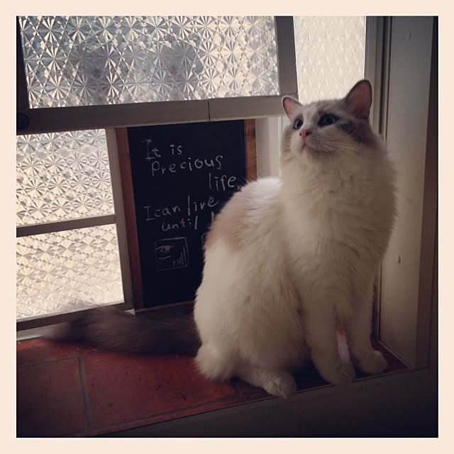 runtenさんの実例写真