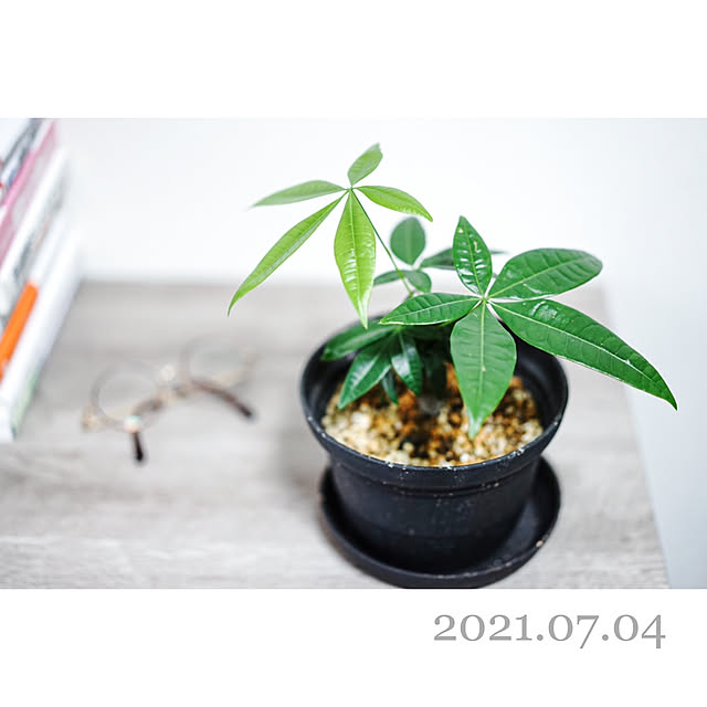 aseroraさんの実例写真