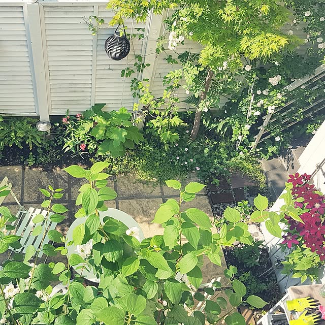 neoさんの実例写真