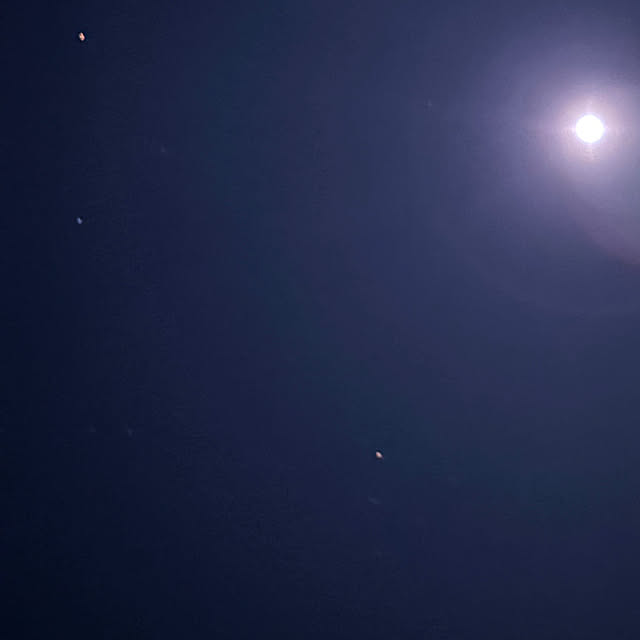 syutmmさんの部屋