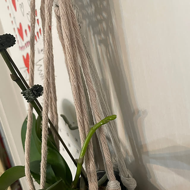 nattunさんの部屋