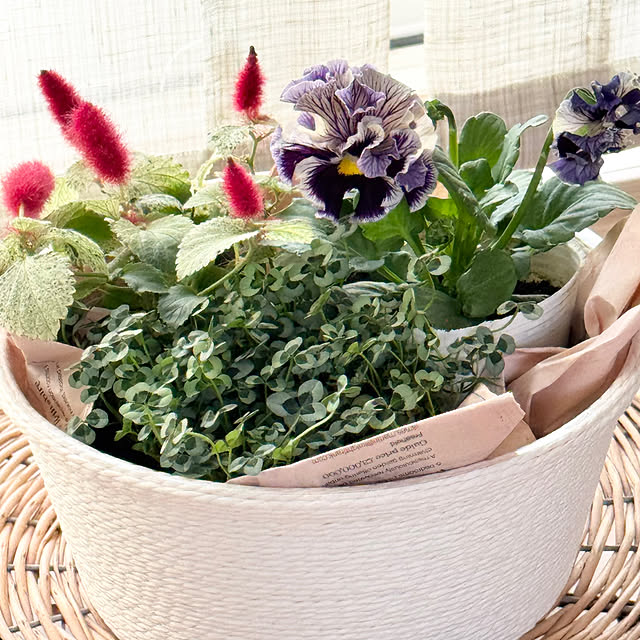 Chigusaさんの部屋