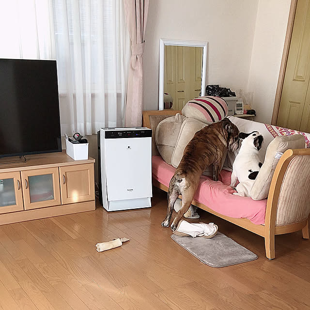 chi_gogaさんの実例写真