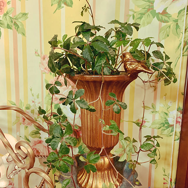 AYUKOさんの実例写真