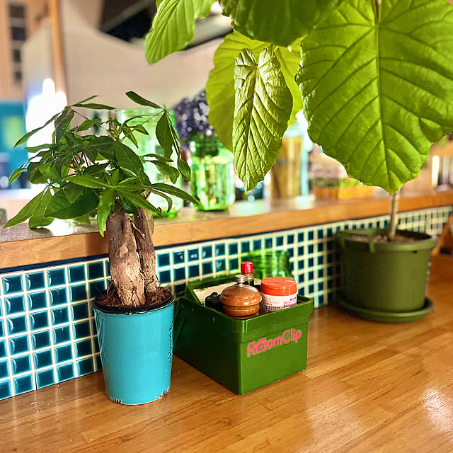 Erikoさんの部屋