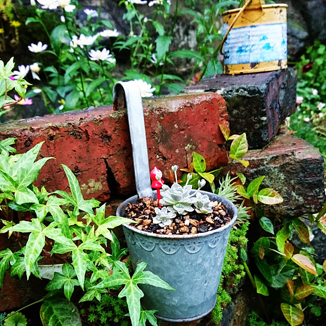 hanaさんの実例写真