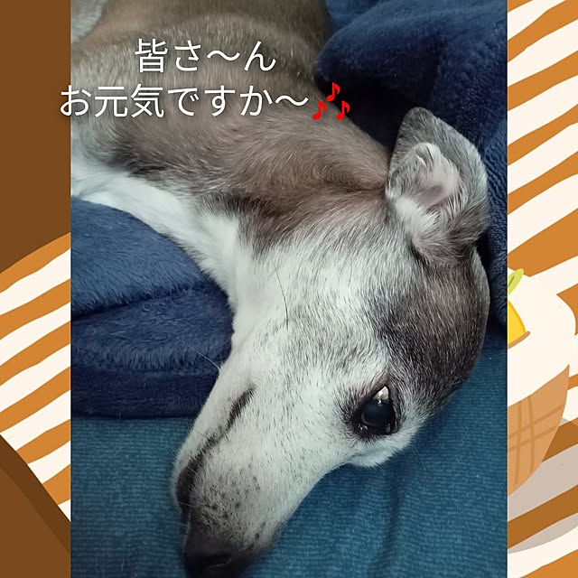moruさんの部屋