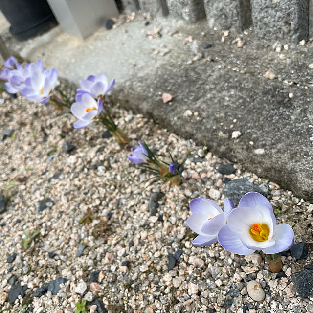 Melさんの実例写真