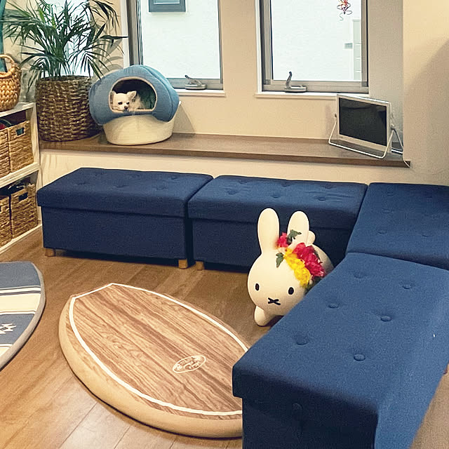 Lionaさんの実例写真