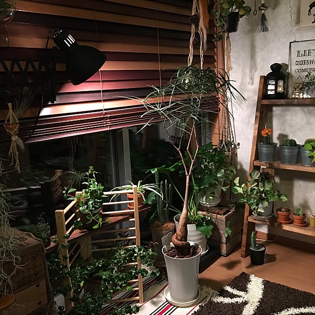 ANNAさんの実例写真