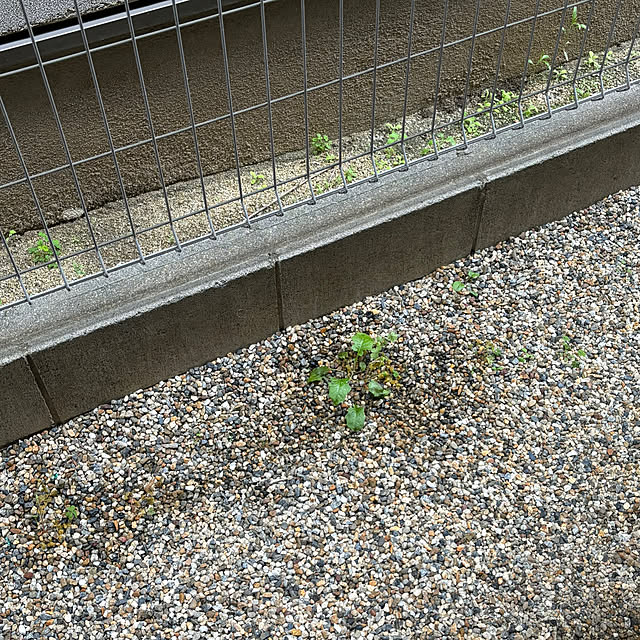 junaさんの実例写真