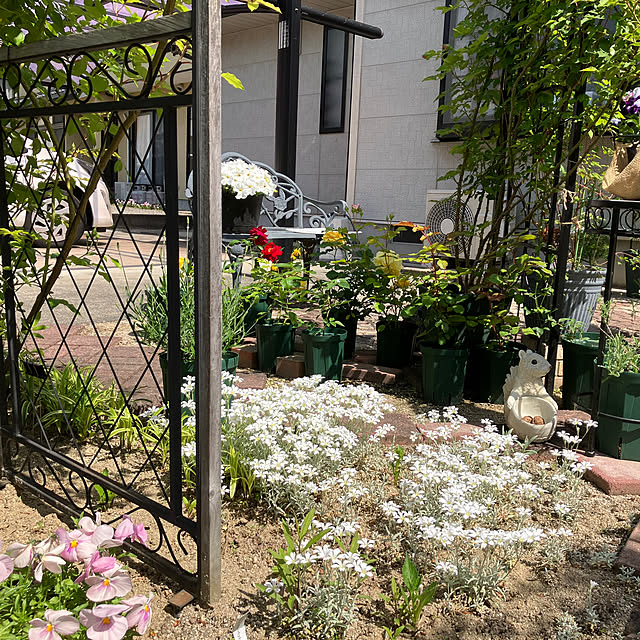 sayaさんの部屋