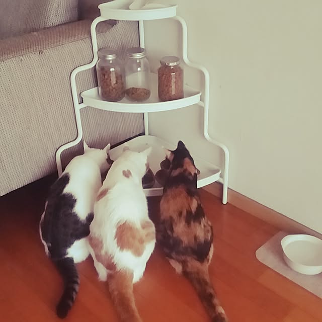 kusimaさんの実例写真