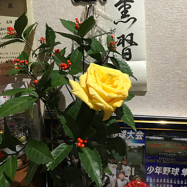 Naomiさんの実例写真