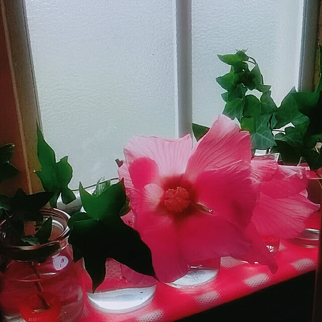 kimyonttiさんの実例写真